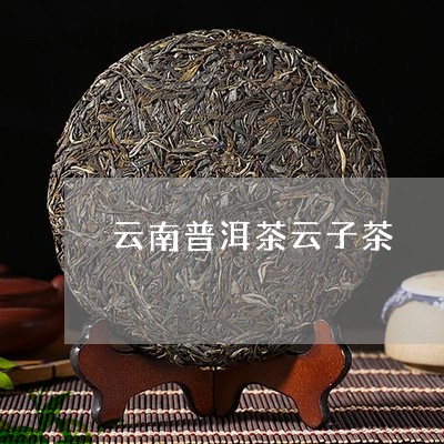 云南普洱茶云子茶/2023031508482