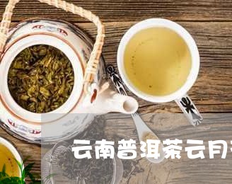 云南普洱茶云月茶/2023041126068