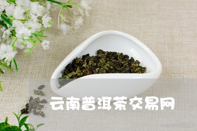 云南普洱茶交易网/2023031765037