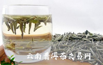 云南普洱茶交易网/2023041296260