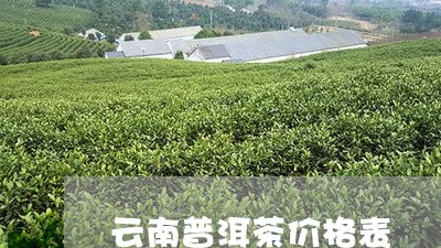 云南普洱茶价格表/2023041300594