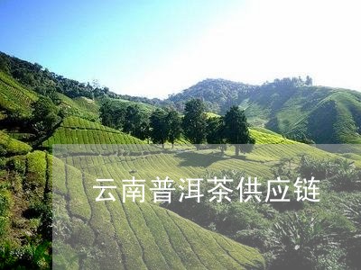 云南普洱茶供应链/2023040122795