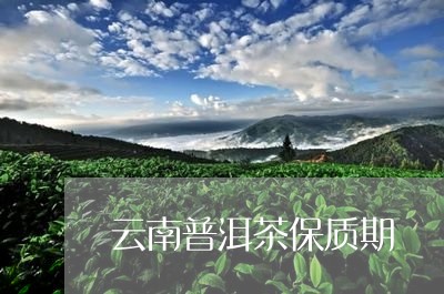 云南普洱茶保质期/2023041347581