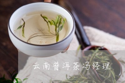 云南普洱茶冯经理/2023040943839