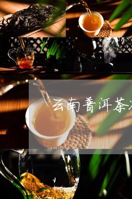 云南普洱茶冰岛茶/2023041367393