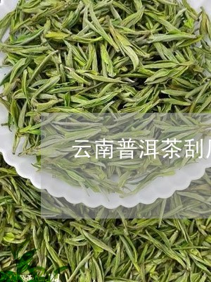 云南普洱茶刮风寨/2023041046460