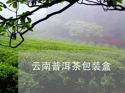 云南普洱茶包装盒/2023041214258