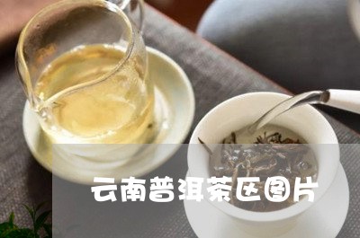 云南普洱茶区图片/2023041337250