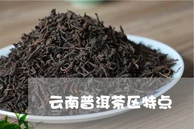 云南普洱茶区特点/2023031879492