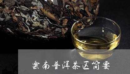 云南普洱茶区简要/2023041061716