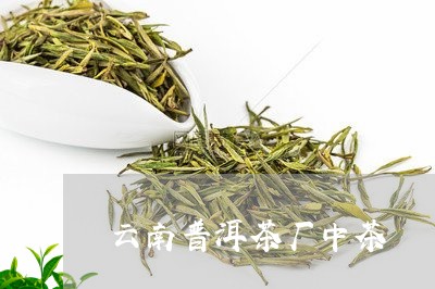 云南普洱茶厂中茶/2023031694138