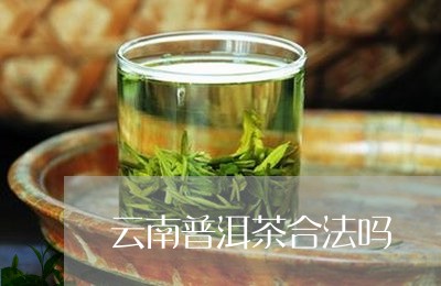 云南普洱茶合法吗/2023031726148