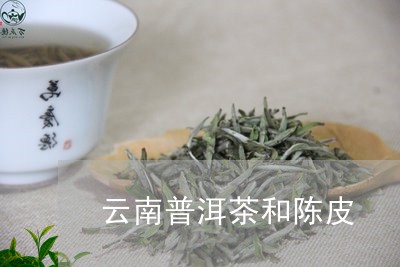 云南普洱茶和陈皮/2023041094917