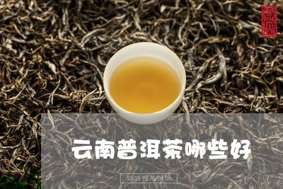 云南普洱茶哪些好/2023040958284