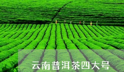 云南普洱茶四大号/2023033084847