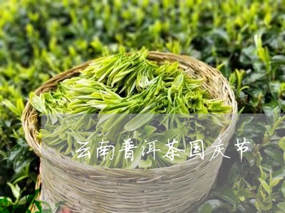 云南普洱茶国庆节/2023041301614