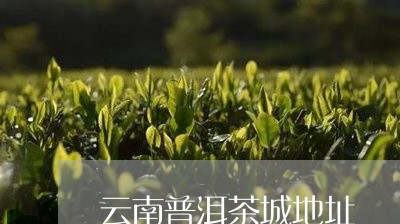 云南普洱茶城地址/2023041082706