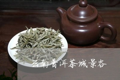 云南普洱茶城景谷/2023041092615