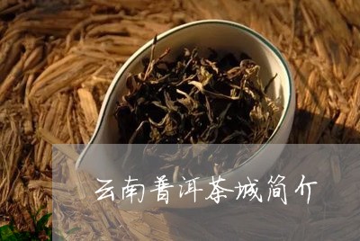 云南普洱茶城简介/2023041050472