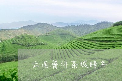 云南普洱茶城跨年/2023040968572