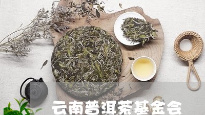 云南普洱茶基金会/2023041189784