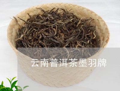 云南普洱茶墨羽牌/2023031658261