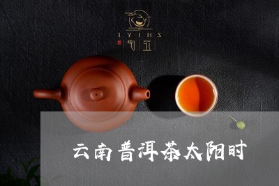 云南普洱茶太阳时/2023032974146