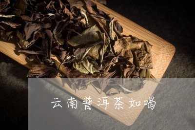 云南普洱茶如喝/2023031893128