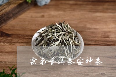 云南普洱茶安神茶/2023041031483