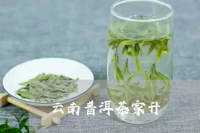 云南普洱茶家升/2023041157279