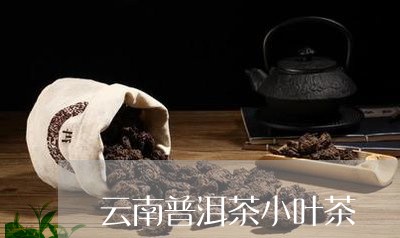 云南普洱茶小叶茶/2023041296061