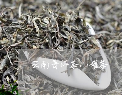 云南普洱茶小罐茶/2023041127360