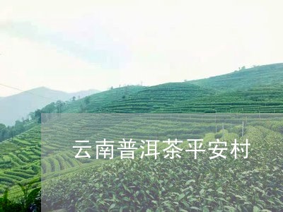 云南普洱茶平安村/2023041045060