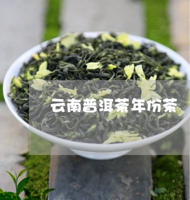 云南普洱茶年份茶/2023031771706