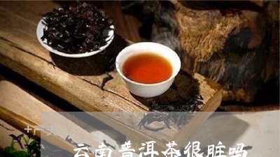 云南普洱茶很脏吗/2023041083737