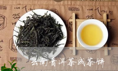 云南普洱茶成茶饼/2023041192624