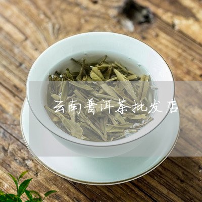 云南普洱茶批发店/2023031638262