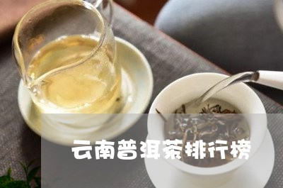 云南普洱茶排行榜/2023041451694