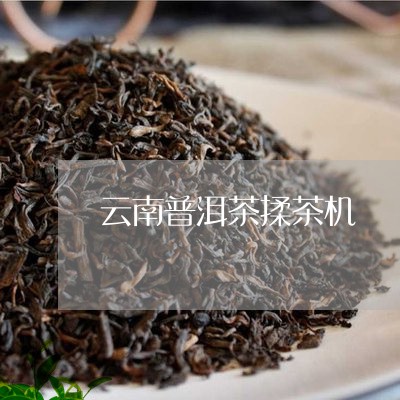 云南普洱茶揉茶机/2023033061694