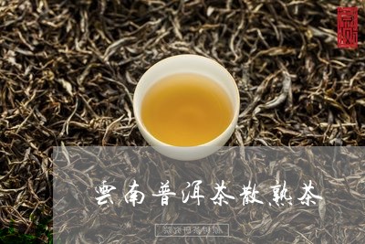 云南普洱茶散熟茶/2023031695138