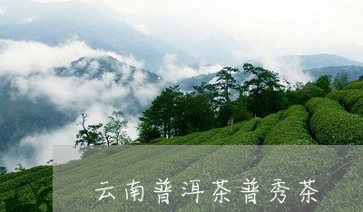 云南普洱茶普秀茶/2023041175047