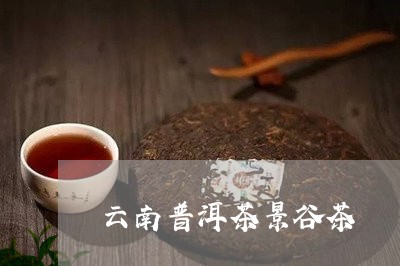 云南普洱茶景谷茶/2023041216270