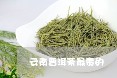 云南普洱茶最贵的/2023031770473