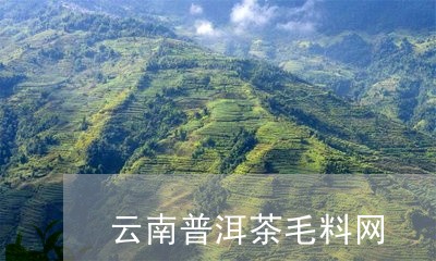 云南普洱茶毛料网/2023041018370