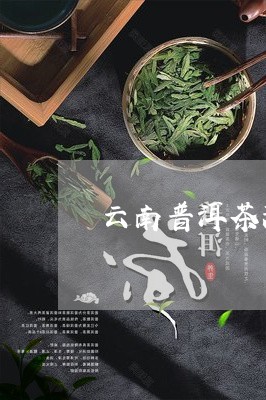 云南普洱茶润初见/2023041017251