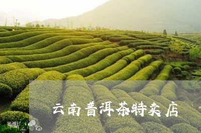 云南普洱茶特卖店/2023031815170