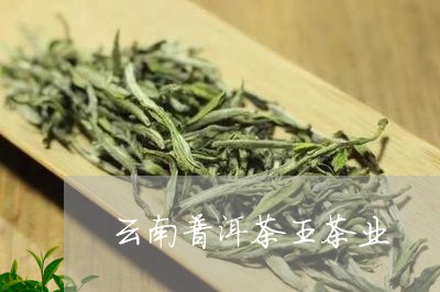 云南普洱茶王茶业/2023041321482