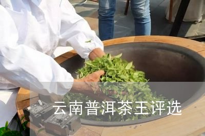 云南普洱茶王评选/2023040945950