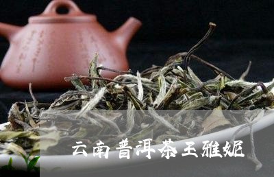 云南普洱茶王雅妮/2023040122725