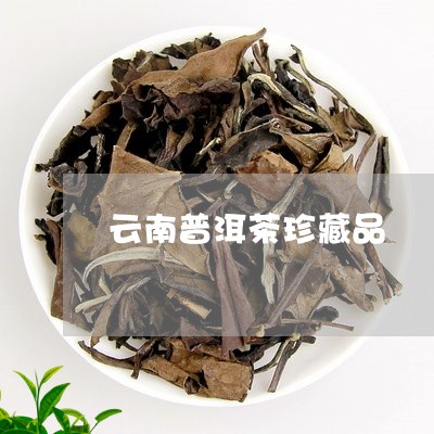 云南普洱茶珍藏品/2023041394930